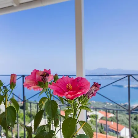 Ferienhaus Corfu Sight Blue Spartylas